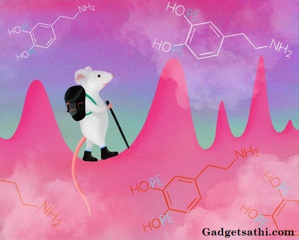 Secretion of “Feel Good” Brain Chemical Compound Dopamine can be Willfully Controlled