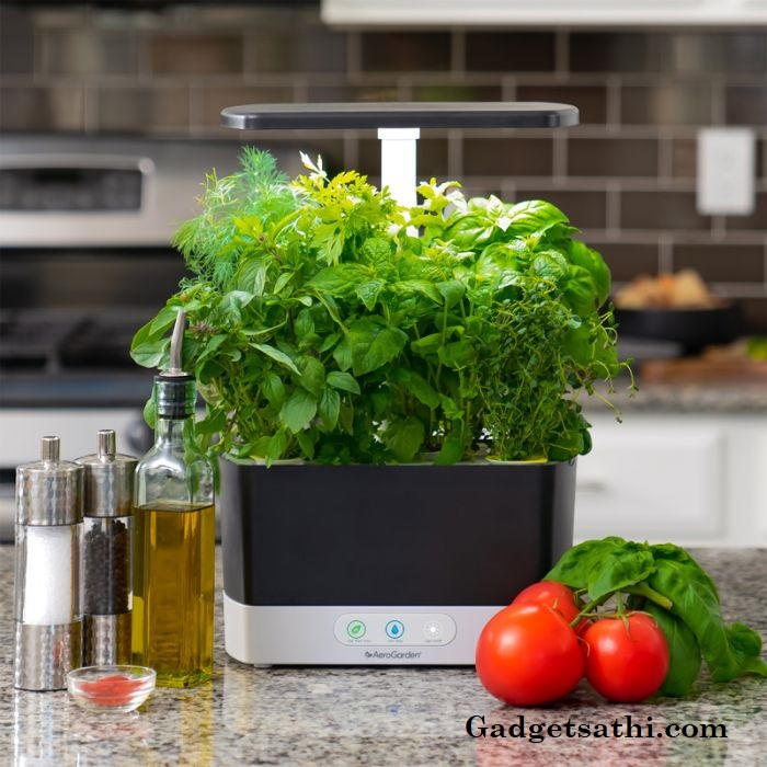 Grow Your Vegetables in AeroGarden Black Harvest Indoor Hydroponic Garden