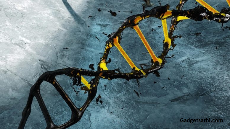 This is not the First Time: Researchers discovered Major Coronavirus Epidemic happened 20,000 years ago
