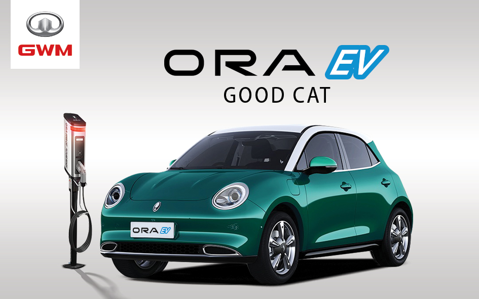 Road Test of ORA Good Cat EV successfully conducted in Nepal