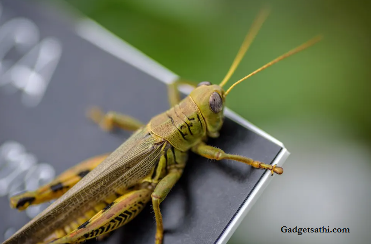 Engineers Create Tiny Robot “Bugs” That Can Go Just About Anywhere