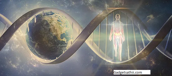 The Quest for Immortality