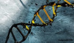 This is not the First Time: Researchers discovered Major Coronavirus Epidemic happened 20,000 years ago