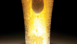 Cheers! Lager Beer Could Help Reduce Risk of Disease