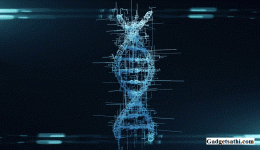 New Law of Physics Could Predict Genetic Mutations