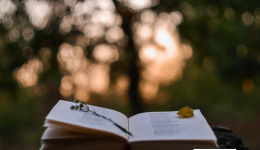5 Poems to Read before you turn 50