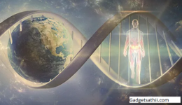 The Quest for Immortality